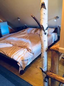 Ένα ή περισσότερα κρεβάτια σε δωμάτιο στο Apartmani Božana Vojinović