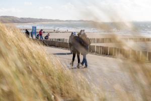 a person walking a horse on a road near the beach at Duinhotel Tien Torens in Zoutelande