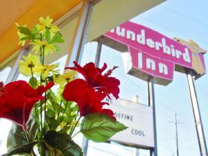 Certifikát, hodnocení, plakát nebo jiný dokument vystavený v ubytování The Thunderbird Inn