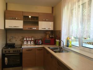 a kitchen with a sink and a stove and a window at Sub Creasta Cocosului in Breb