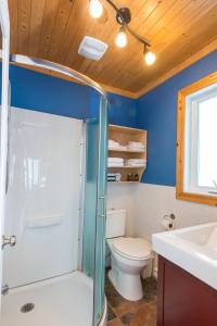 a bathroom with a toilet and a shower and a sink at Chalets Valmont in Cap-Chat