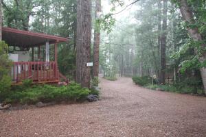 Gallery image of Northwoods Resort Cabins in Pinetop-Lakeside