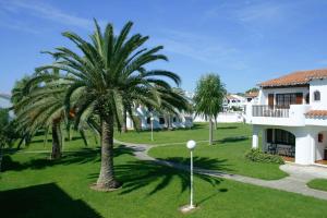 a palm tree in a yard next to a house at APARTAMENTOS SON BOU Z5 in Son Bou