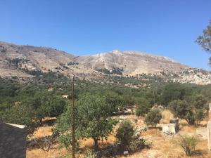 a view of a mountain with trees and houses at "STELIOS & GALINI" in Symi