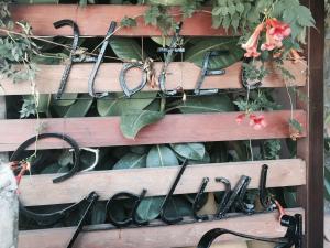a wooden rack with pairs of glasses and plants at "STELIOS & GALINI" in Symi