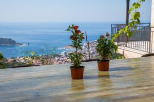 two plants sitting on top of a wooden table at Villas Adriatic Horizonte in Budva
