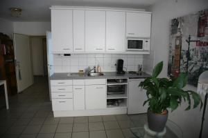 eine Küche mit weißen Schränken und einer Topfpflanze in der Unterkunft Apartmentvermietung Dortmund-Kirchhörde in Dortmund