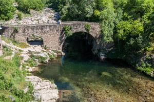 un pont en pierre sur une rivière dans une forêt dans l'établissement Hotel Rural Spa Don Juan de Austria, à Jarandilla de la Vera