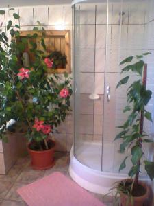グラ・フモルルイにあるPensiunea Casa Rodicaのバスルーム(花と植物のシャワー付)