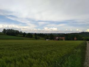 Loodusmaastik võõrastemaja lähedal