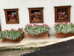 Zahrada ubytování Albergo Meuble Tarandan