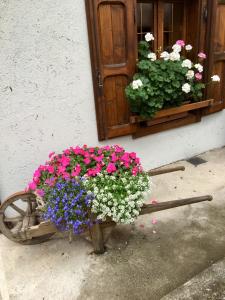 Zahrada ubytování Albergo Meuble Tarandan