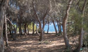 Naturlandskabet i nærheden af villaen