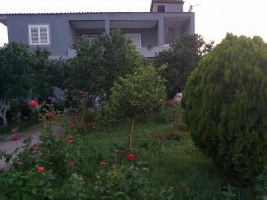 Zahrada ubytování Guesthouse Anila