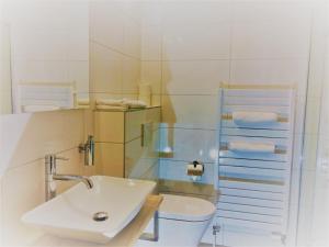 een badkamer met een wastafel en een toilet bij Haarlem 49 in Haarlem