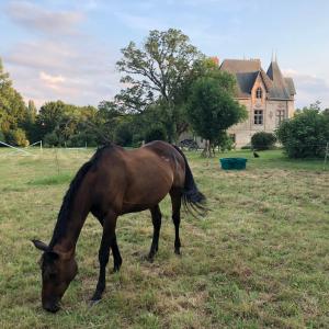 Afbeelding uit fotogalerij van Manoir De La Chouanniere in Montreuil-sur-Maine