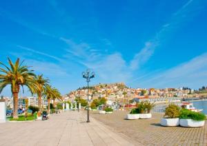 a street with palm trees and buildings and a city at Violet City Center Apartments in Kavála