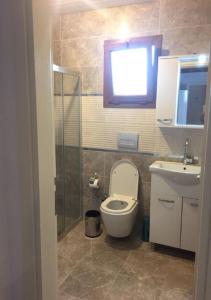a bathroom with a toilet and a sink and a shower at Aydeniz Otel in Mesudiye