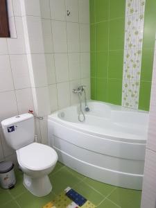 Gallery image of Casa Amiral in Sulina