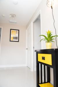 a black and yellow dresser in a room with a plant at Pinehill Rooms in Reading