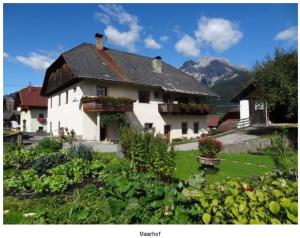 Zdjęcie z galerii obiektu Lissis Bauernhof Appartments w mieście Gundersheim