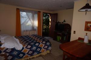 Schlafzimmer mit einem Bett, einem TV und einem Fenster in der Unterkunft Los Gualles de la Candelaria Apart Hotel in Pucón