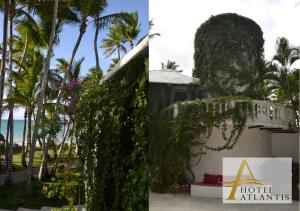 Κήπος έξω από το Hotel Atlantis