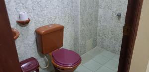 e bagno con servizi igienici viola e doccia. di Hotel Santusa a Villazón