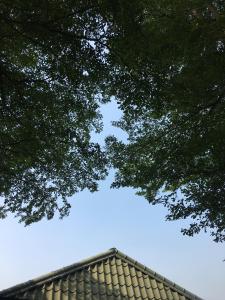 Φωτογραφία από το άλμπουμ του Song Youf Hostel σε Zhongpu