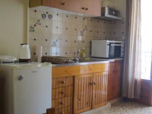 a kitchen with a white refrigerator and a microwave at Dimitra appartements in Argostoli
