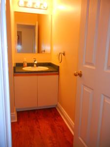 La salle de bains est pourvue d'un lavabo et d'un miroir. dans l'établissement Shores of Deer Lake, à South River