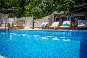 una piscina con 4 gatos en el agua en Studio Apartments La Bohème, en Dubrovnik