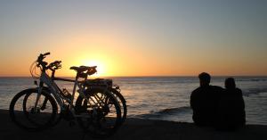 Billede fra billedgalleriet på CampWest i Oksbøl