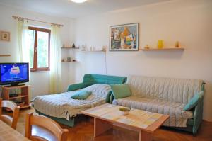 TV a/nebo společenská místnost v ubytování Apartment Branko with free parking