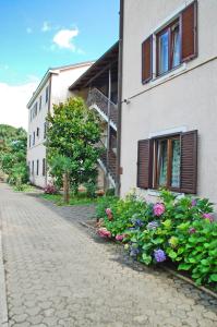 Zahrada ubytování Apartment Branko with free parking