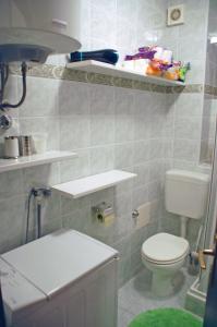 a small bathroom with a toilet and a sink at Apartment Branko with free parking in Ičići