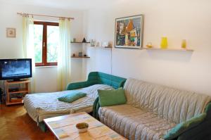 TV a/nebo společenská místnost v ubytování Apartment Branko with free parking