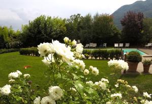 Aed väljaspool majutusasutust IRIS 1 lago di Como