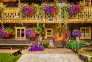 A garden outside Hacklbauer