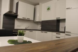 
Küche/Küchenzeile in der Unterkunft Apartment Sunnseitn

