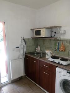 a kitchen with a sink and a microwave at MiniPenzion Na Vyhlídce in Olomouc