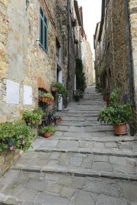 an old stone alley with potted plants and buildings at Il Merlo Verde in Monteverdi Marittimo