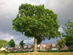 Gallery image of Droomzzz in Herkenbosch