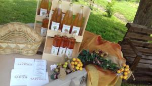 A garden outside Poderi Sartoris