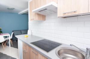 una cucina con un lavello e un bancone di PORT-ŁÓDŹ Apartment by PinPoint a Łódź