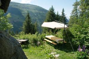 a picnic table and an umbrella in the grass at Rochefort Valferret in Courmayeur