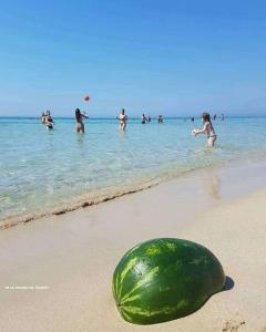 un melone sulla spiaggia con persone in acqua di B&B a casa di PaPi a Lizzano