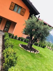 Agriturismo Maso Miri外面的花园