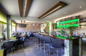 Loungen eller baren på Alnus Penzion