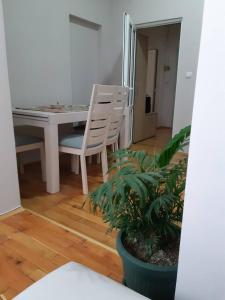 ein Wohnzimmer mit einem Tisch, Stühlen und einer Pflanze in der Unterkunft Stankovic Apartman in Vranje